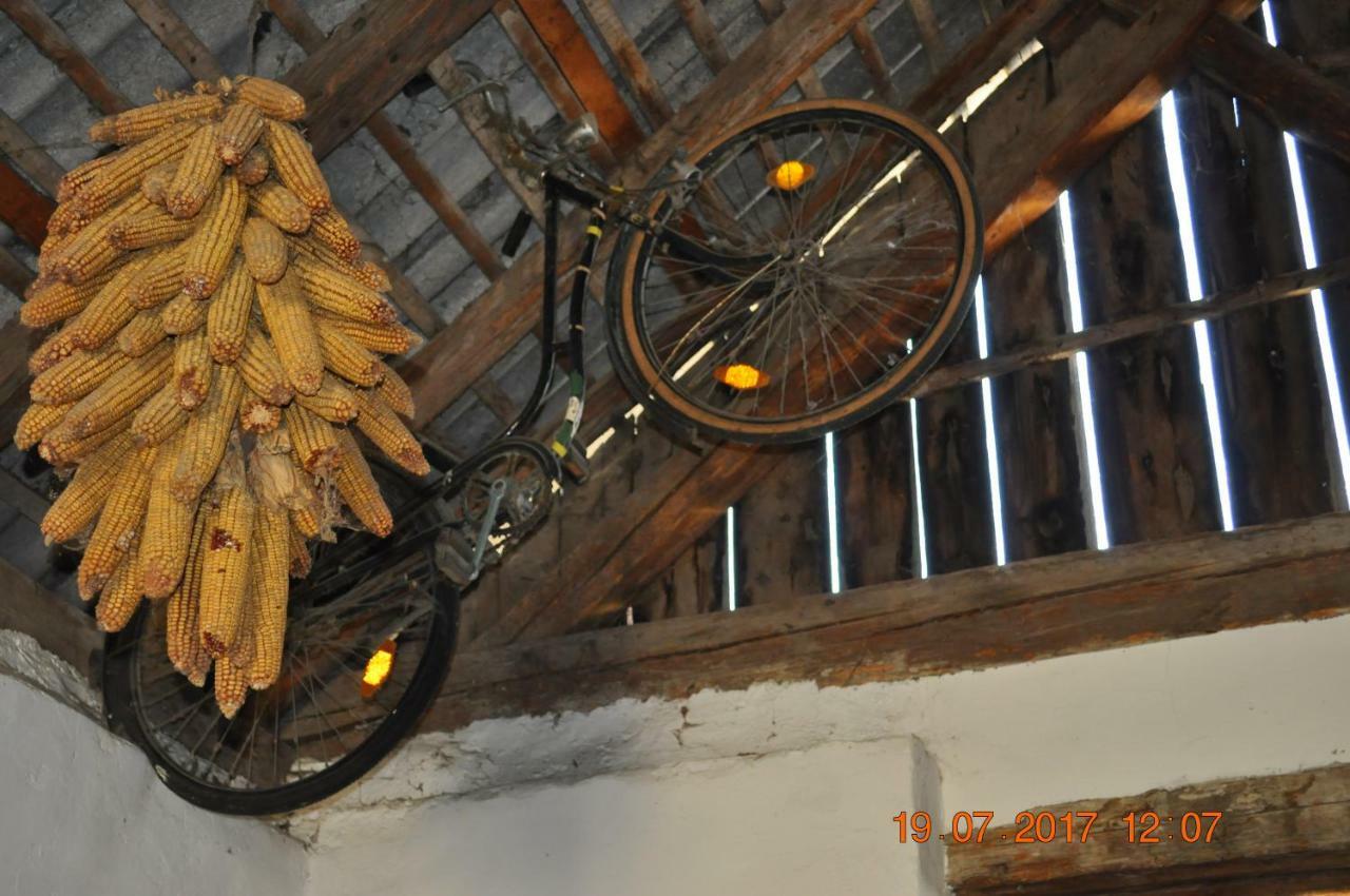 Appartmenthaus Josefikeller Podersdorf am See Buitenkant foto